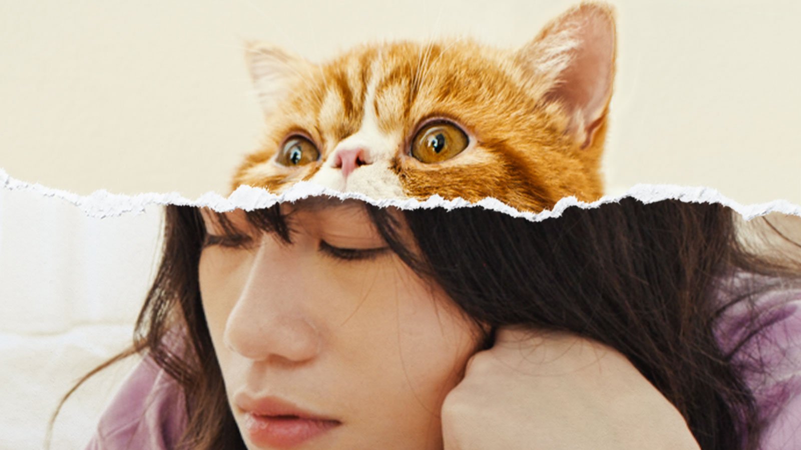 Sante Productions presents “Poof Meong!”, a vertical fantasy web series about love, loneliness, and a cat-turned-human companion.